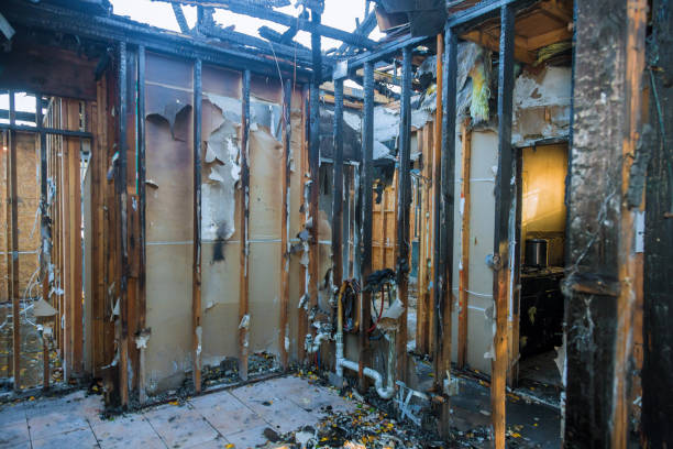 Professional Fire Damage Removal technician working in Hyattsville, MD