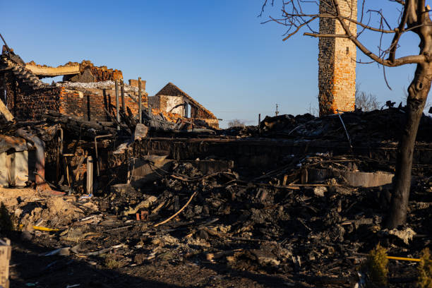 Reliable Fire Damage Removal contractor in Hyattsville, MD by Fire Damage Doption