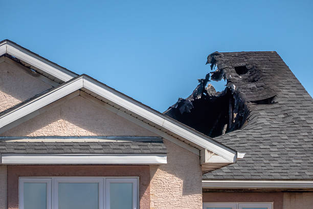 Top rated local Fire Damage Removal specialists in Hyattsville, MD